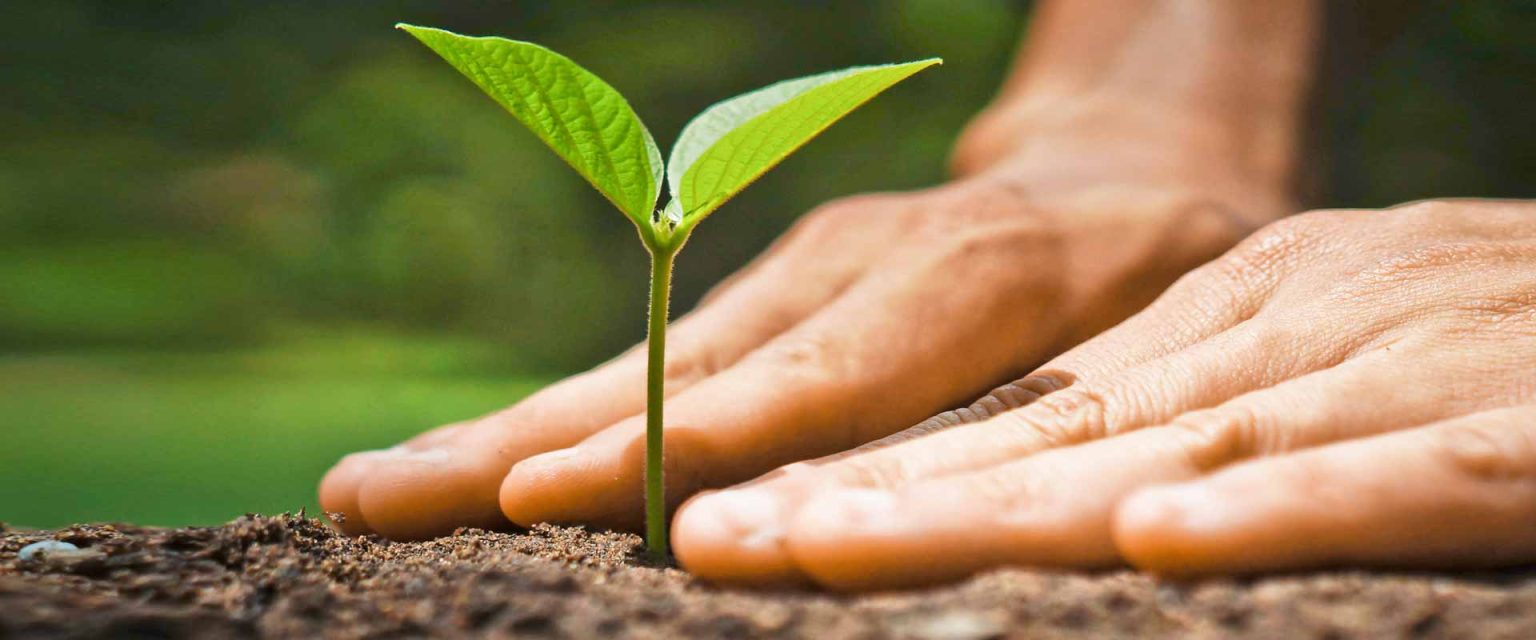 Responsible sourcing - Wernick Group